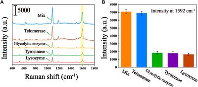 A dual-amplification strategy-intergated SERS biosensor for ultrasensitive hepatocellular carcinoma-related telomerase activity detection